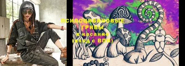 spice Верхний Тагил